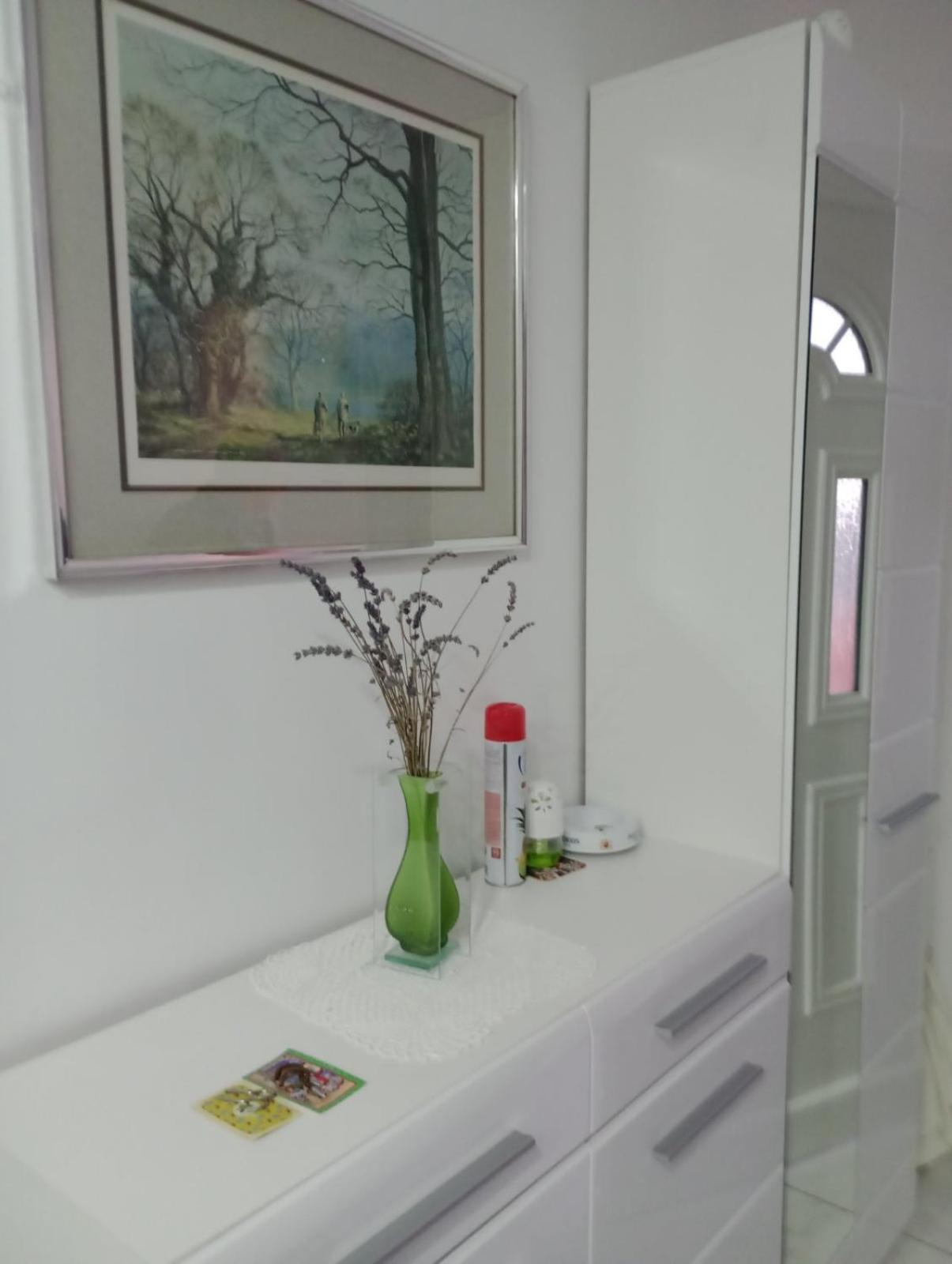 Apartment Olive Jovici  Екстер'єр фото